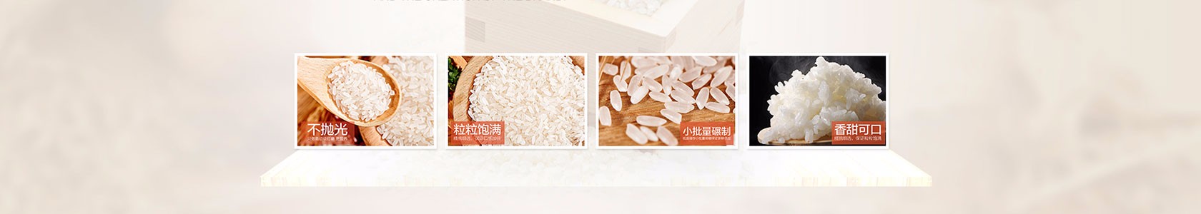 上海市浦东新区卓越电子有限公司